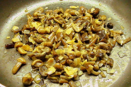 Паштет из фасоли с грибами: шаг 2