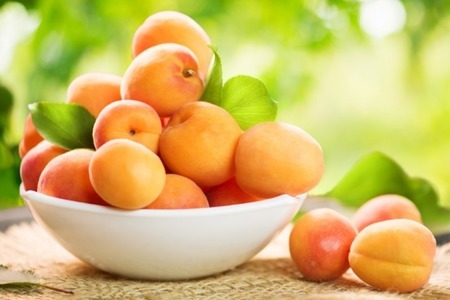 Поцелуй солнца: польза абрикосов для здоровья и молодости