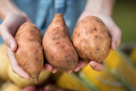Картофель, но сладкий: приключения батата