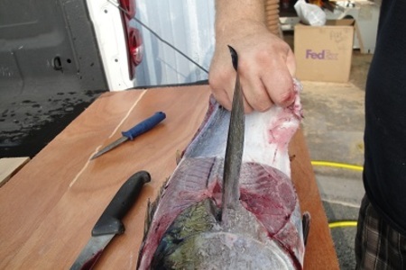 Разделка тунца на филе  (по просьбам кулинаров): шаг 4