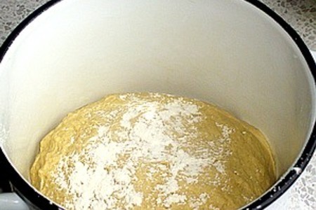 Фото приготовления рецепта: Пирожки-сырники для кроликов