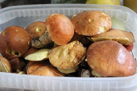 Картофель с маслятами в горшочках по-егерски: шаг 1