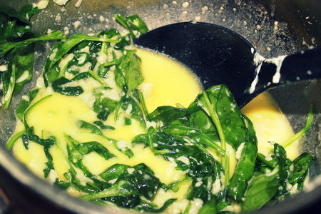 Равиоли с сыром, зеленью и кедровыми орехами под соусом из шпината и грана подано: шаг 8