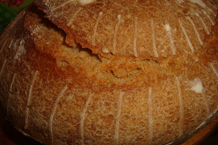 Фото к рецепту: По мотивам парижского цельнозернового хлеб лайонела полиана