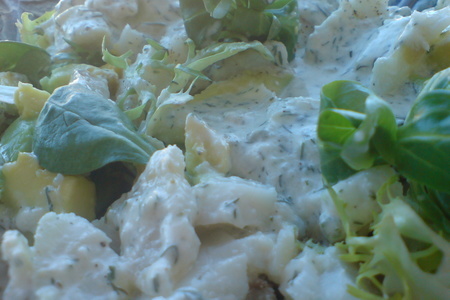 Фото к рецепту: Салат из отварной белой рыбы и авокадо под сырно-укропным соусом