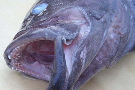 Фото к рецепту: Копченая рыба