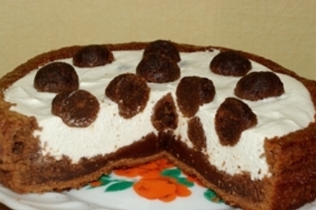 Фото к рецепту: Черно-белый творожный пирог