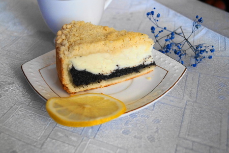 Фото к рецепту: Творожный пирог с маковой начинкой и песочной основой
