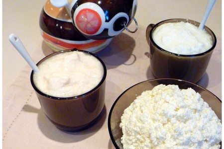 Фото к рецепту: Йогурт и творог=домашняя молочная кухня