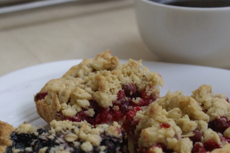 Crowberry and blueberry crumb bars (брусничное и черничное печенье с крошкой)