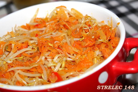 Фото к рецепту: Теплый салат из ростков фасоли и моркови