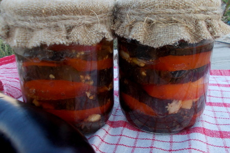 Фото к рецепту:  закуска из помидоров и баклажанов "полосатая"