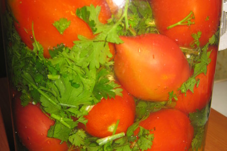 Фото к рецепту: Засол томатов холодным способом