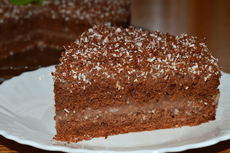 Фото к рецепту:  постный шоколадно-кокосовый торт