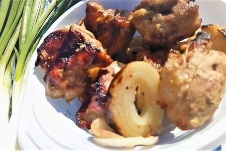 Фото к рецепту: Шашлык из свинины, маринованной с луком