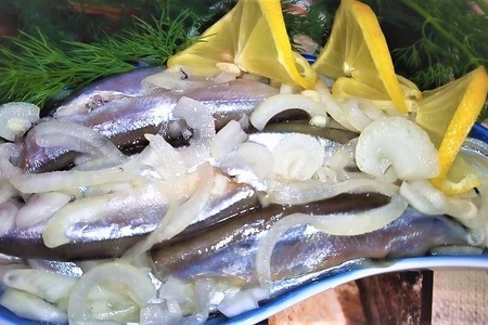 Фото к рецепту: Мойва маринованная. рецепт посола рыбы