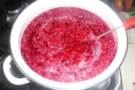 Фото к рецепту: Варенье-желе из красной смородины 