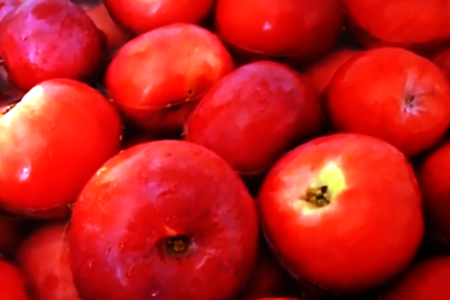 Фото к рецепту: Яблоки на зиму в сиропе