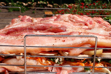 Фото к рецепту: Свиная грудинка с курицей и овощами на углях