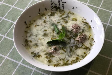 Фото к рецепту: Довга (dovga) - кисломолочный суп с мясными фрикадельками и нохудом