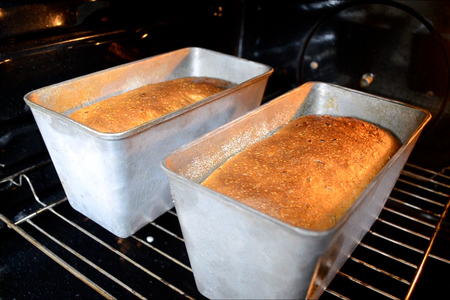 Фото к рецепту: Домашний цельнозерновой хлеб 