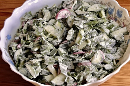 Рецепт витаминного салата со свежей черемшой