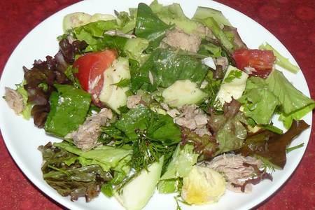 Фото к рецепту: Летний салат с тунцом и авокадо