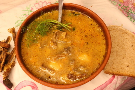 Фото к рецепту: Грибной суп ( грибная юшка ) по-закарпатски