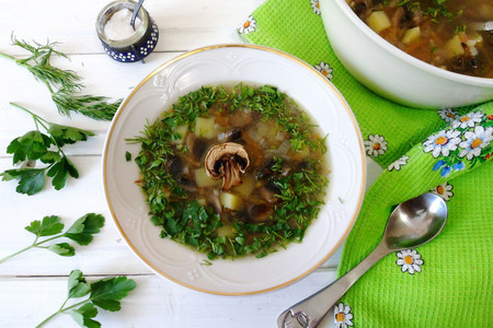 Фото к рецепту: Томленый суп с гречкой и грибами #блюдосизюминкой