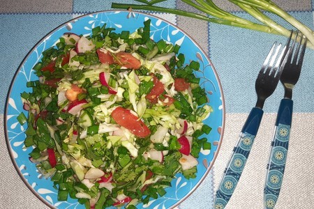 Фото к рецепту: Салат из молодых овощей и зелени