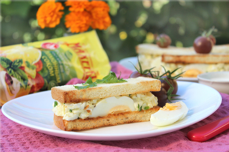 Фото к рецепту: Закрытые бутерброды с яичным салатом с майонезом #махеевъ