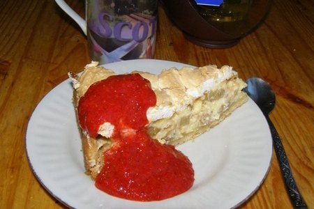 Фото к рецепту: Ревеневый пирог с творогом и безе