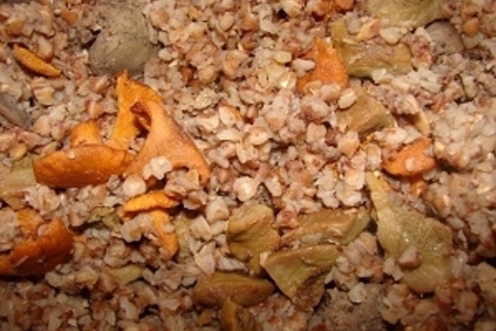Фото к рецепту: Гречка с печенью и грибами в казане