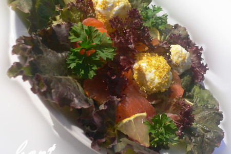 Фото к рецепту: Салат с семгой, творогом и лимоном