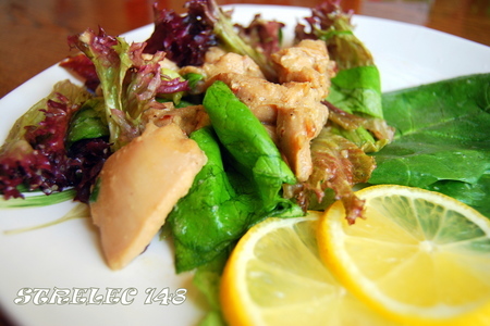 Фото к рецепту: Салат с уткой а-ля "турандот"