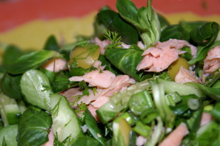 Фото к рецепту: Зелёный салат с копченой горбушей