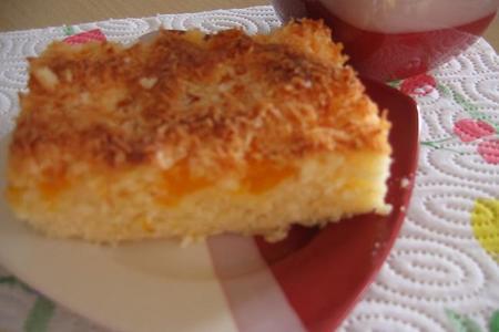 Фото к рецепту: Мандариновый пирог с кокосовой стружкой