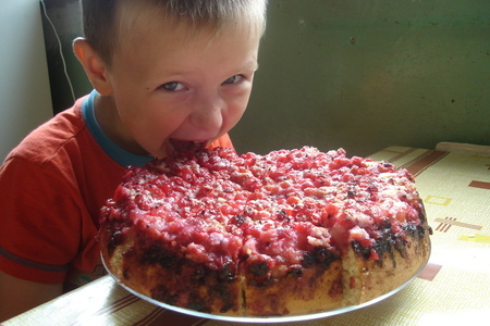 Фото к рецепту: Пирог с красной смородиной
