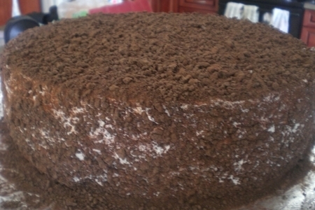 Фото к рецепту: Шоколадно-творожный торт