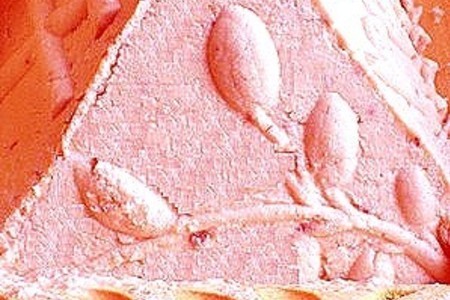 Фото к рецепту: Пасха розовая