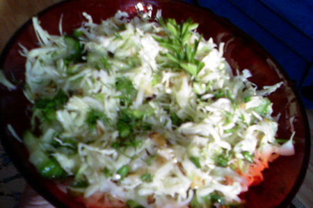 Фото к рецепту: Не совсем обычный салат из молодой капусты.