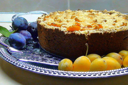 Фото к рецепту: Пирог со сливой, под творожной крошкой, на корже из гречневой муки с маком.