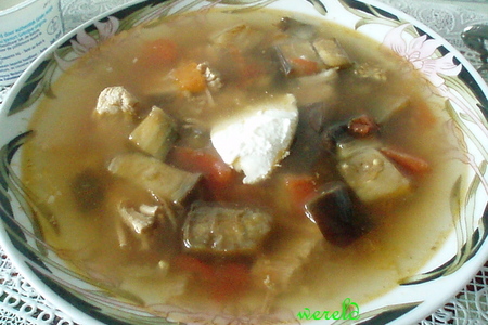 Фото к рецепту: Суп из баклажанов от галины для ларисы