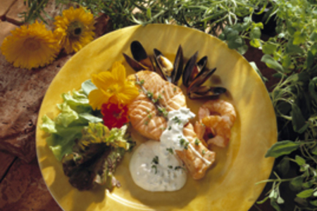 Фото к рецепту: Норвежская семга-гриль с мидиями и сметанным соусом