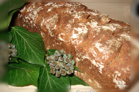 Фото к рецепту: Хлеб каштановый  и с каштанами