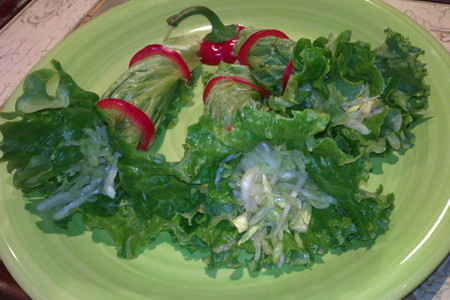 Фото к рецепту: Салат из салатов