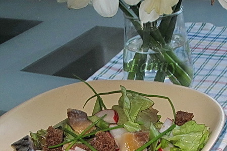 Фото к рецепту: Салат из  копченой скумбрии с ревенем