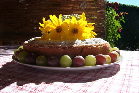 Фото к рецепту: Пирог на пиве с виноградом и сливами