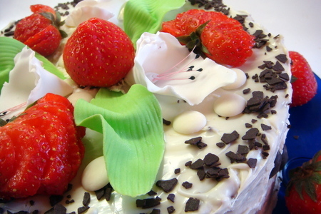 Фото к рецепту: Маковый торт с белым шоколадом и свежими фруктами (без муки)