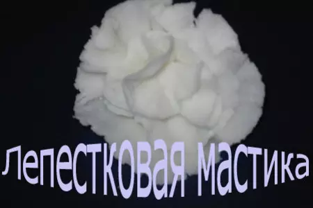 Лепестковая мастика (или гляжу в книгу, вижу......): шаг 9